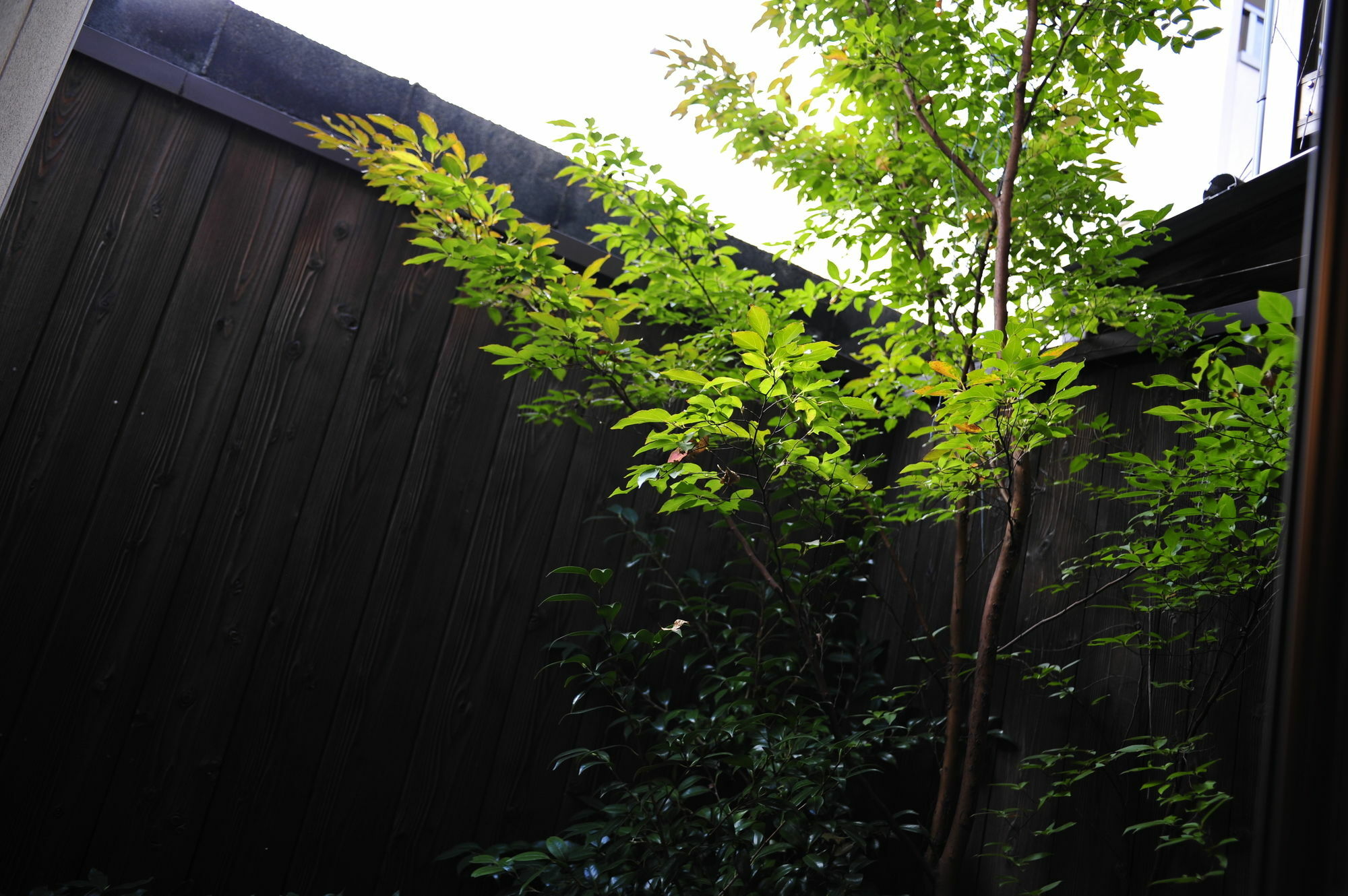 Le Machiya Daikokucho Villa Kyoto Buitenkant foto